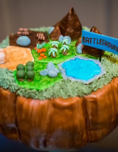 Skylanders Battlegrounds cake