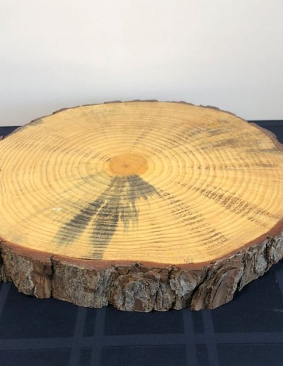 large 17" wide tree slab that can be used for cake platform or cupcakes