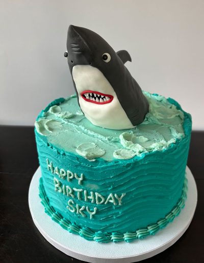 shark birthday cake with front half of shark poking out of the cake